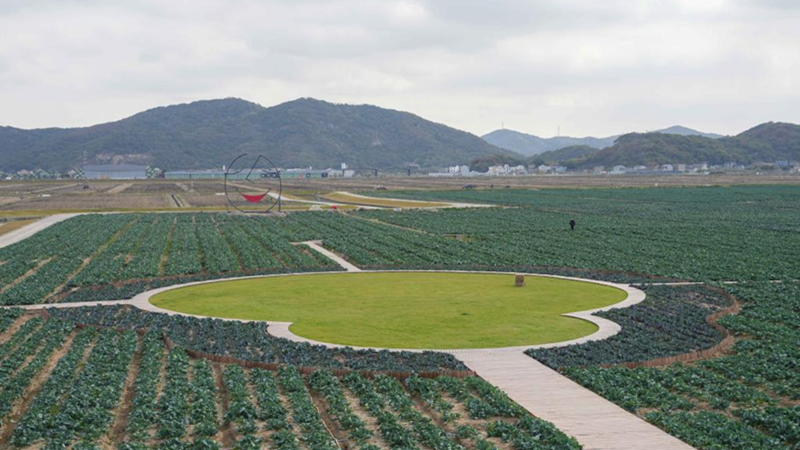 浙農科技岱山運營項目獲人民日報、新華社、央視等主流媒體關注